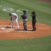 大谷の試合を観戦にロスまで行ってきました。〜Uber便利でした。アメリカではタクシー以上の交通インフラでした。〜