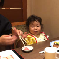 今日のしおまる（トリックアート迷宮館に行ってきました）