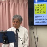 ヤングカップルの雛たち