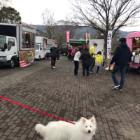 NEW食器