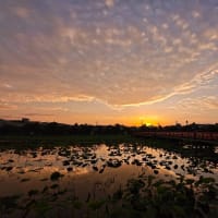 ６月１８日の夕焼け