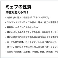 ミェフの話　番外編　ロゴストロンとミェフ概念の相性的な話と