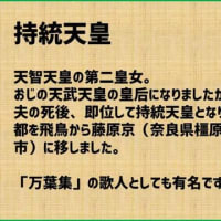『天武と持統の不仲』『親蘇我』『反蘇我』『藤原氏天下』