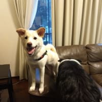ときんちへ