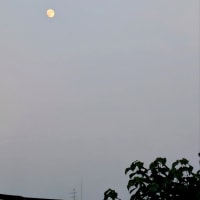 今日いち-2025年7月8日