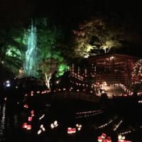 清水の滝と紅葉ライトアップ「清水竹灯り」