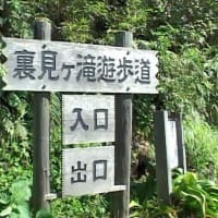 八丈小島もあるく　よみがえれ　三宅島応援ツアー　８回目　八丈島
