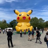 PokemonGo　IN　NakajimaPark