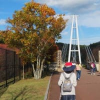 大分県玖珠郡九重町「九重‘’夢’’大吊橋」①＆日本一の大吊橋