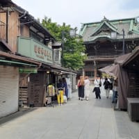 「男はつらいよ 花も嵐も寅次郎」ー１