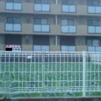 未経験でも不動産屋を開業できるかも！？