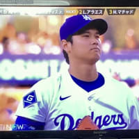 推し活が忙しい!大谷君➡️n.SSign(エンサイン)