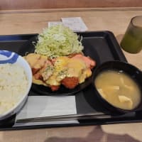 松のや（９）明太チーズささみかつたっぷり定食