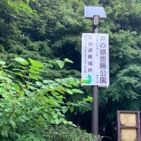 東京100kmチャレンジ