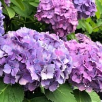 まさに光陰矢の如し