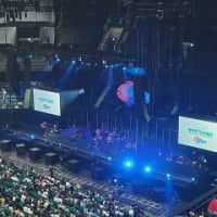 『さにしゃんサンゴSHOW！』