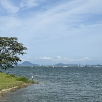 びわ湖大津館、バラ園にて