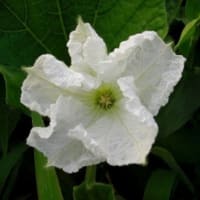 ７月　２日