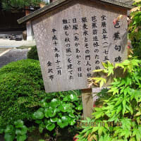 金沢市: 成 学 寺（じょうがくじ）蕉翁墳！芭蕉句碑と他の二句碑！
