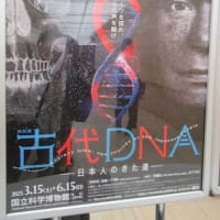 国立博物館