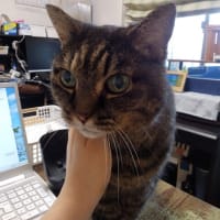 違う、そうじゃない