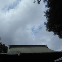 今日も大気の状態が不安定の東京～ (￣∇￣; )　台風のたまごと豆乳はあまおう♪
