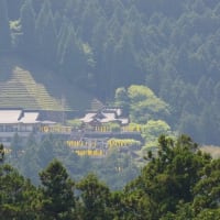 続々・山は萌えて清流は輝く吉野川源流の村