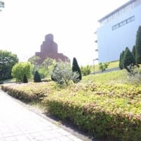 １０年ぶりの大仏鉄道５