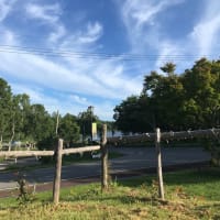 夏の白樺高原