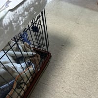 ひなた保育園
