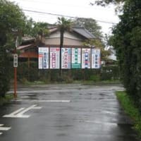麻雀博物館に行ってきました～１～