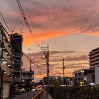 自業自得です
