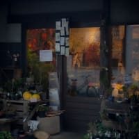 20250608 すべてを写し撮りたい