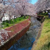 千本桜