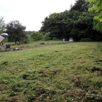 わが家の果樹園、今年最初の草刈りをしました。