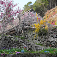 三度目の正直の山河の里、寄道して大正解！