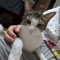 クリンへの想いは尽きなくて・・・306（クー君のこと）