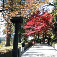 思い出写真館 ２・東北の旅