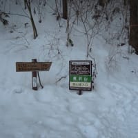 山歩き　南沢山→横川山 [2015/02/07]