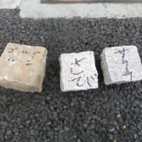 砂利とピンコロのサンプル
