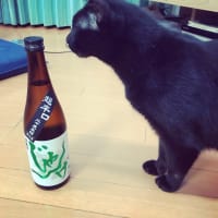 鼻、寒い