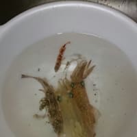 小樽北防波堤
