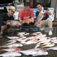 タイ・根魚釣り