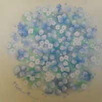 ブログのお引越し