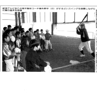 「新潟アルビレックスBC」による野球教室の記事が掲載されました！