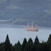 静岡県 in ドクターイエロー　１