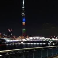 世紀少年 08 かこぶろ 世紀少年 08 かこぶろ
