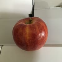 果肉が紅い