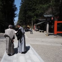 春の旅～⑨　日枝神社