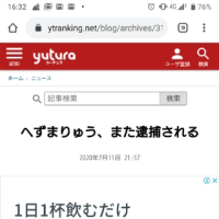 へずまりゅう(原田将大)また逮捕